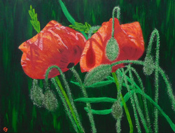 Painting: Two Poppies